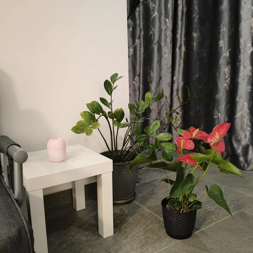 Măsuță albă cu plante și o lumânare, lângă draperie.